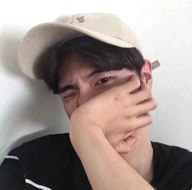 有猫在