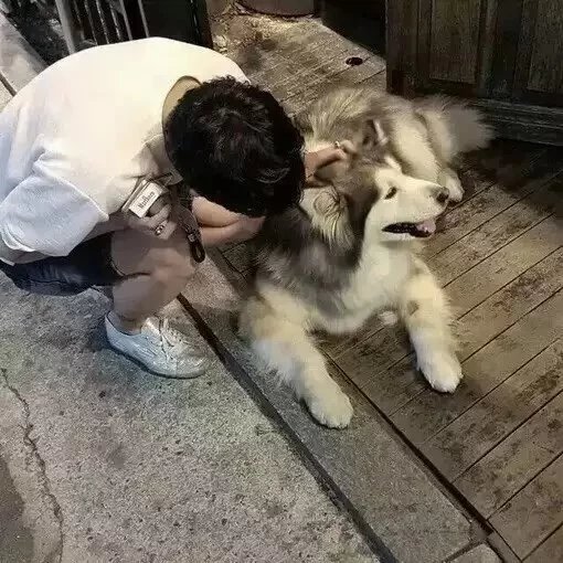 马尔维纳斯