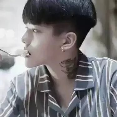 文小猫