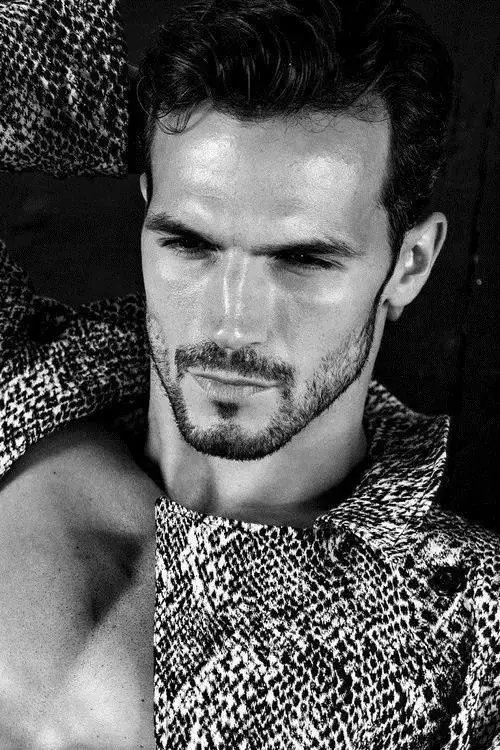 书画