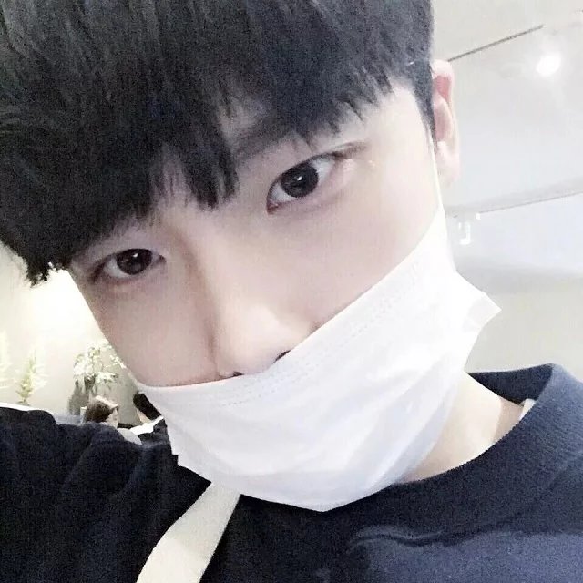 一只狗