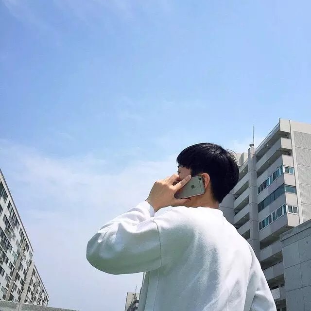 猫咪与胖小鱼