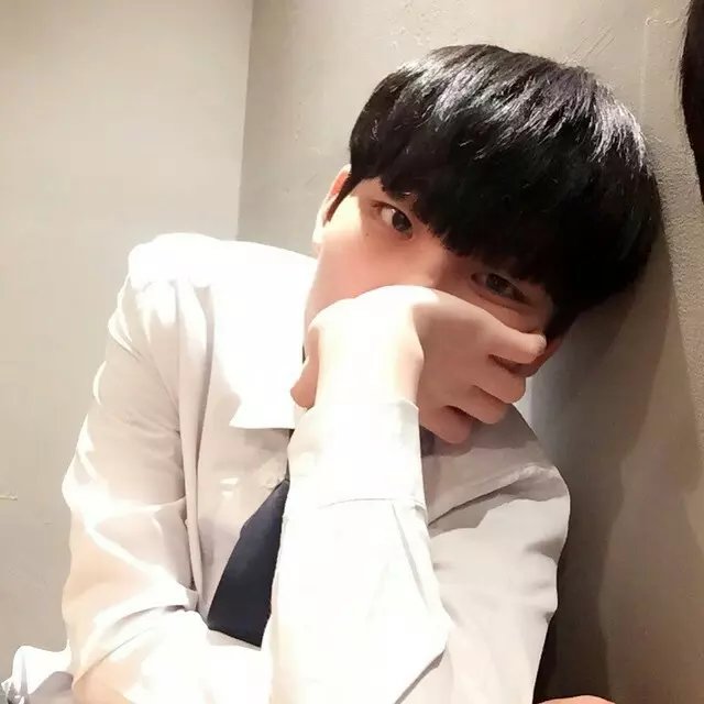 苏菲的世界